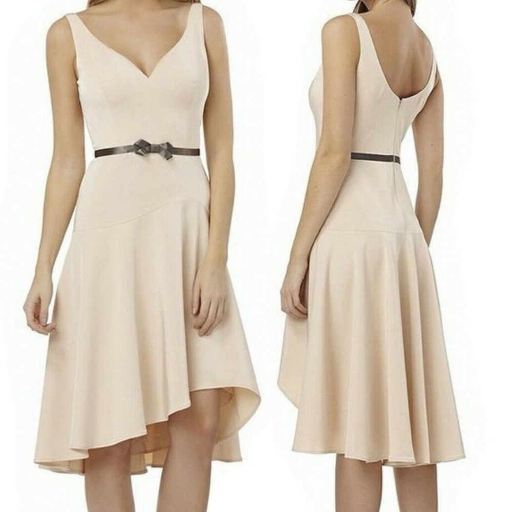 Kay Unger Blush midi dress NWT